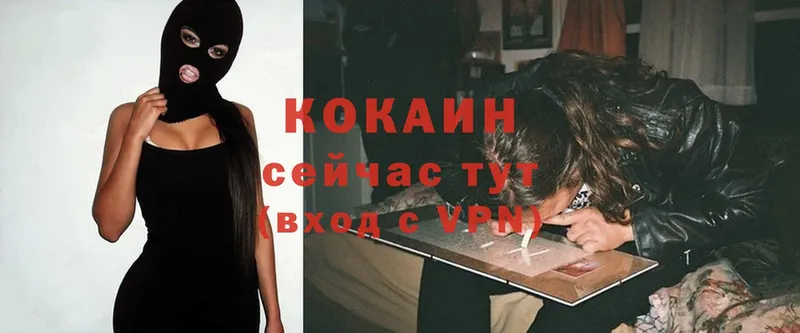 COCAIN Перу  где можно купить   Губкин 